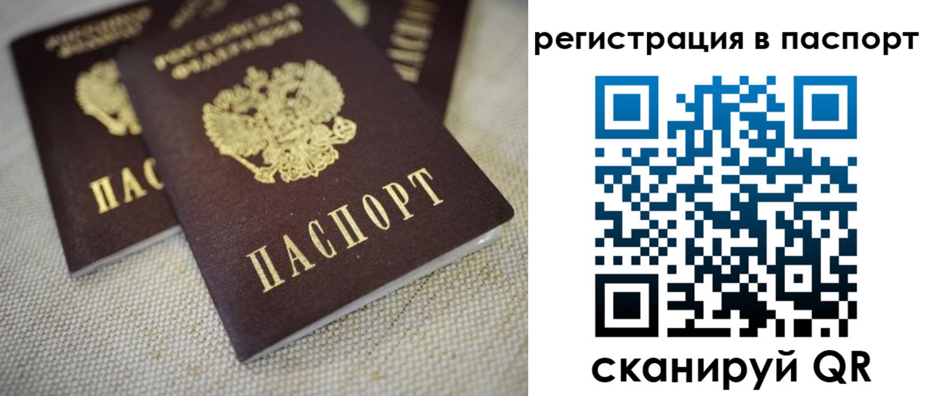 прописка гарантия в Волжске